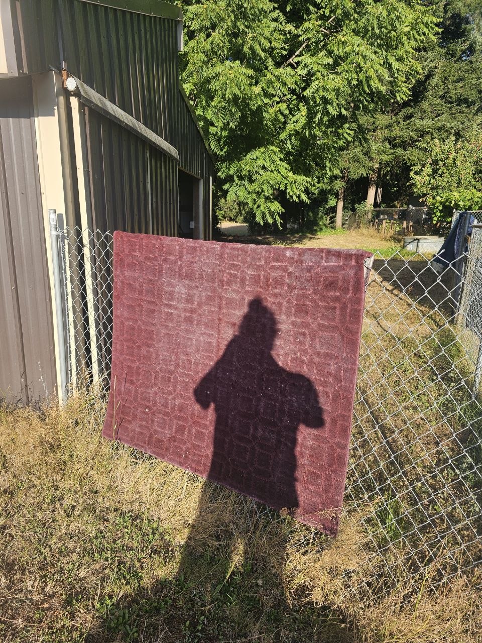 Freshly washed maroon area rug drying on the fence in the sun