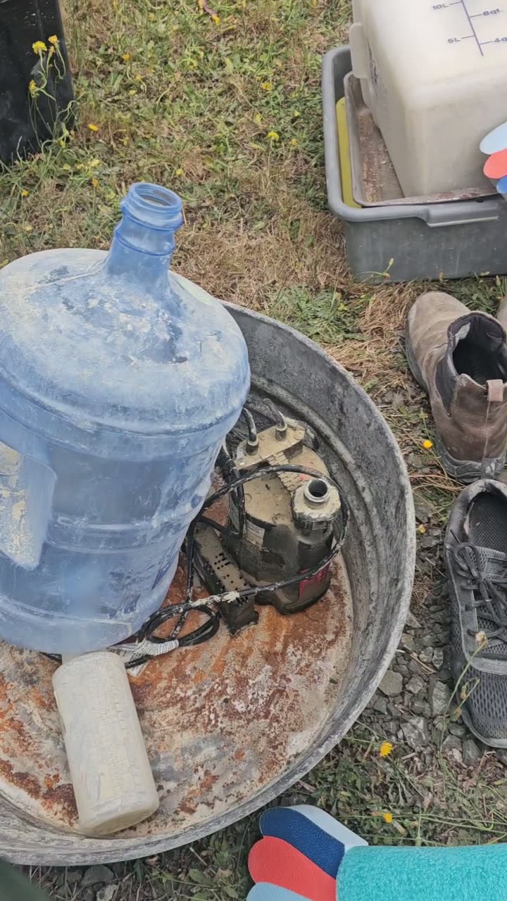 Several sump pumps