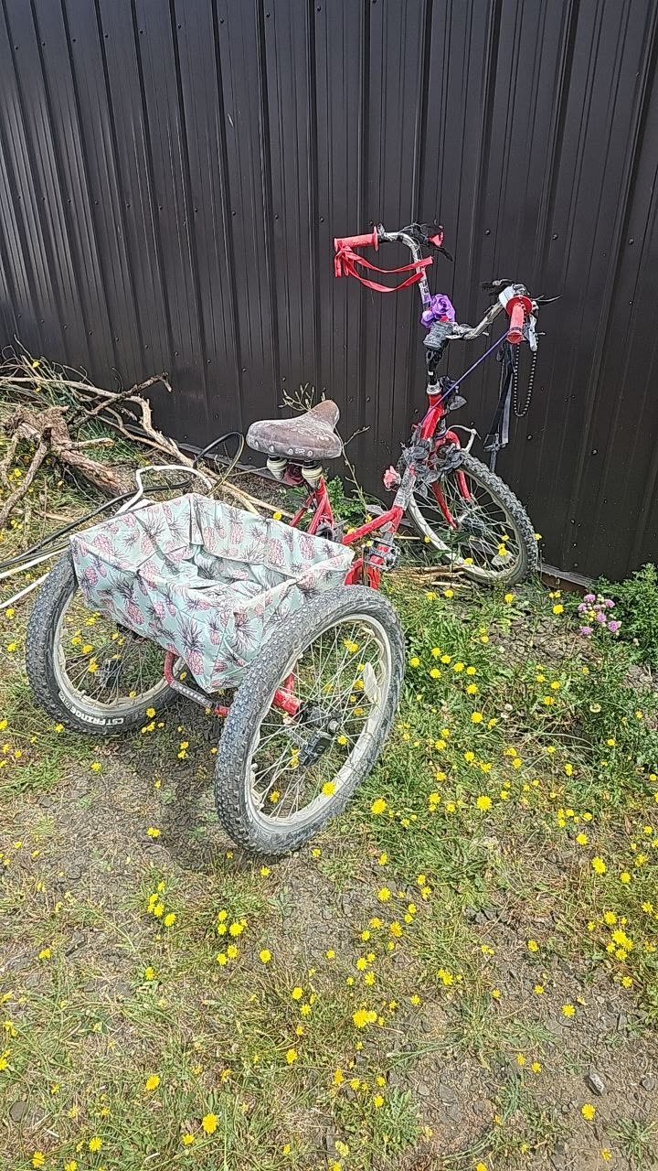 Decorated red playa trike with basket